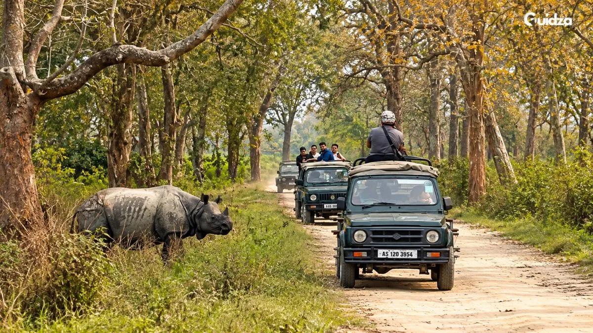 Kaziranga National Park